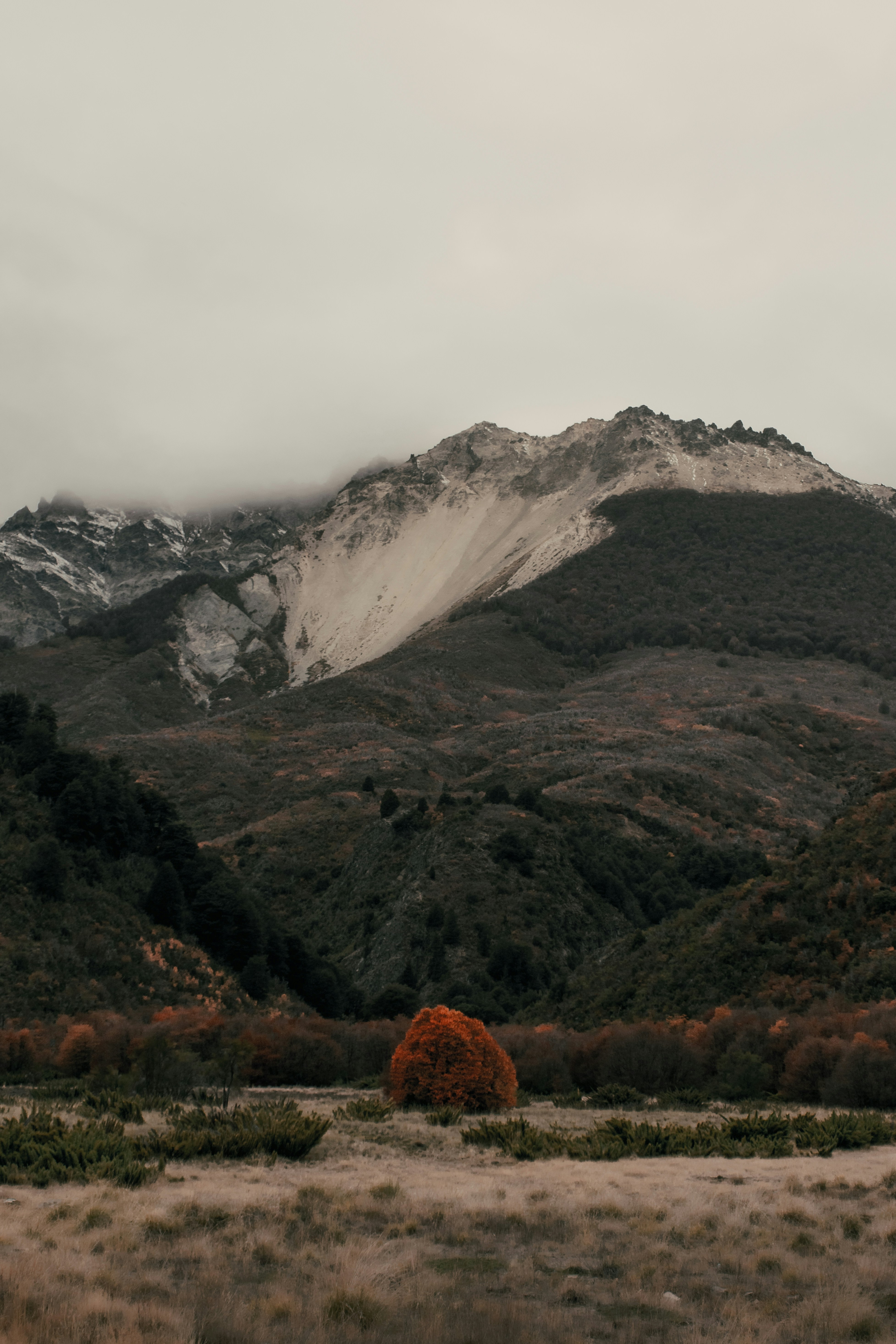 Photo by gasparzaldo