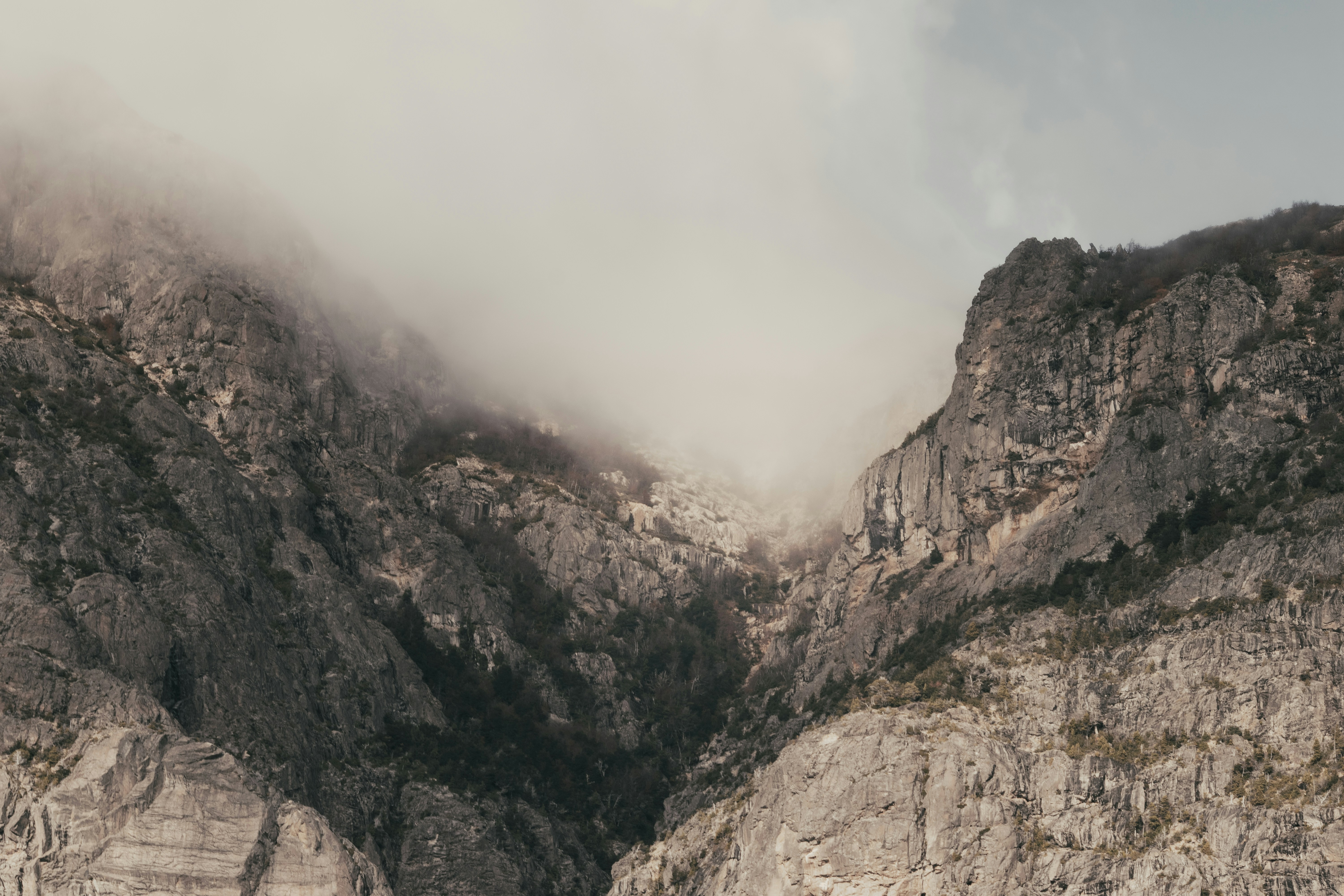 Photo by gasparzaldo