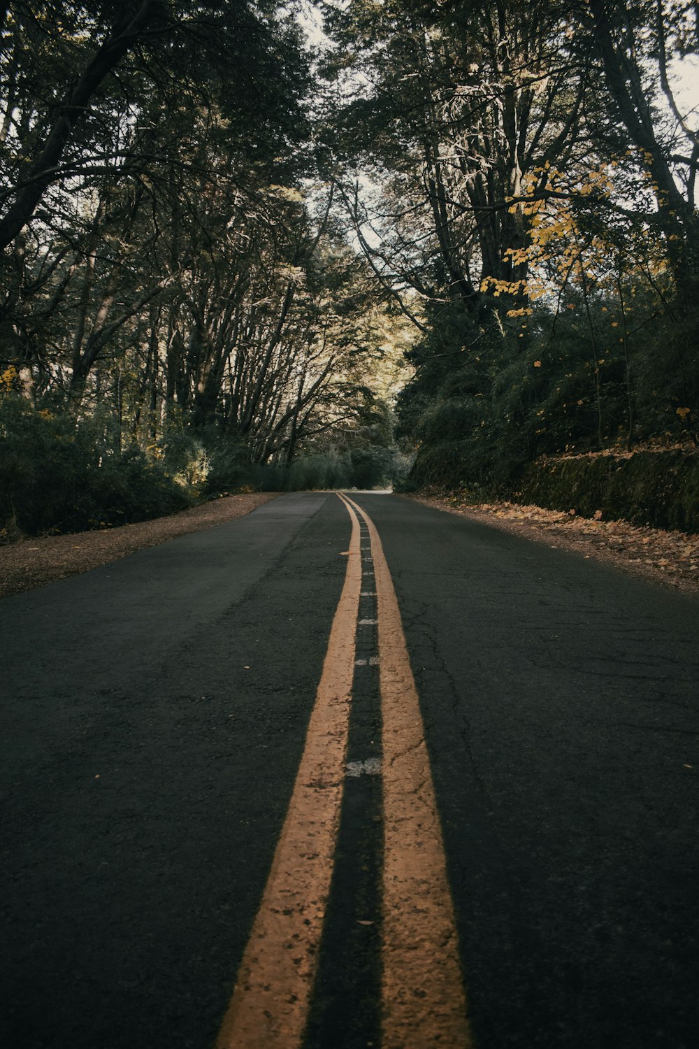 an empty road with a line painted on the side of it