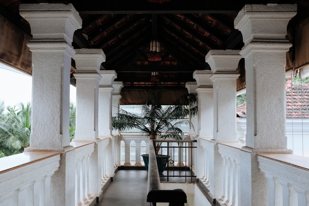 brown steel stair handrail across green palm plant