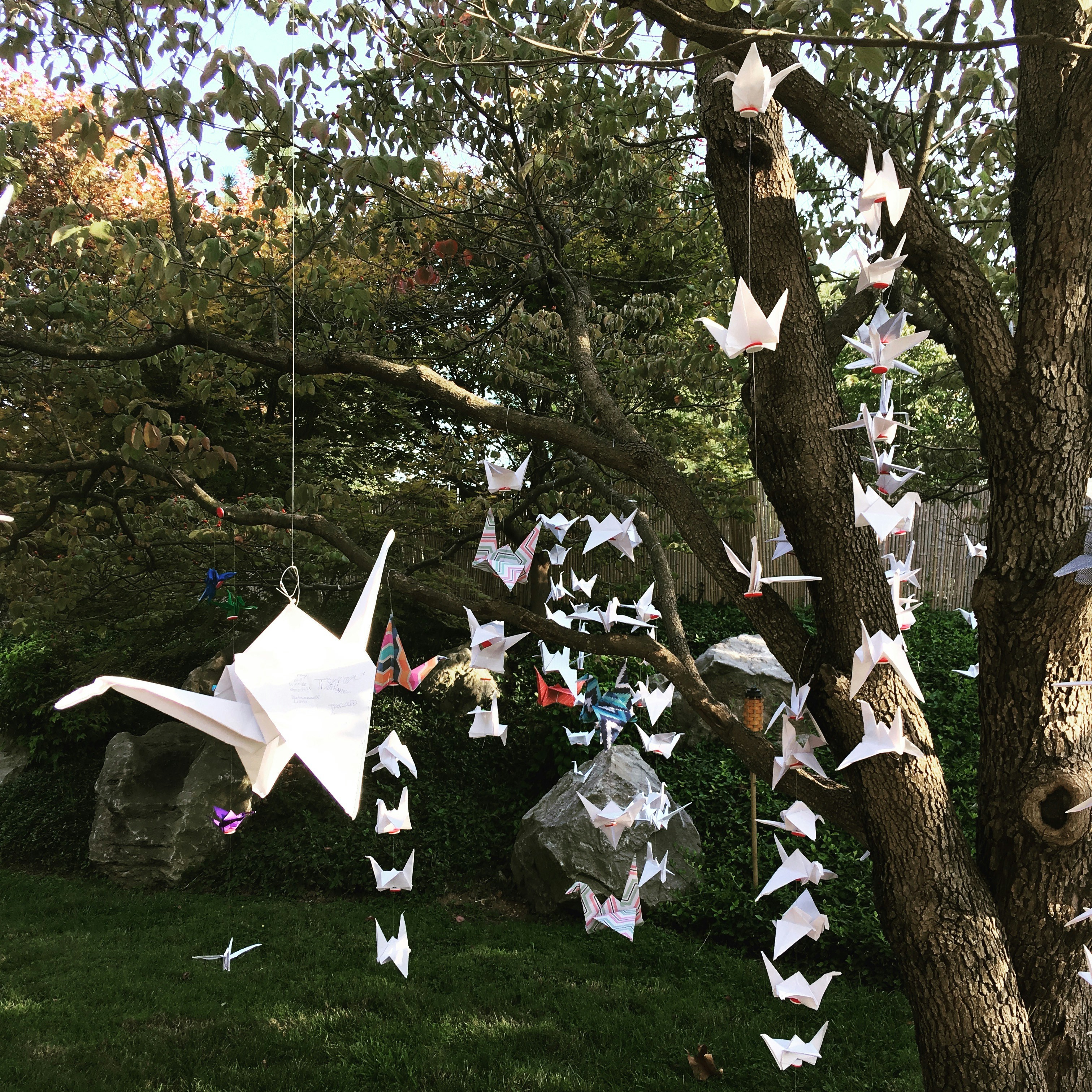 white crane origamis hanging on tree during daytime