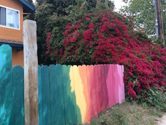 A vibrant outdoor scene with trees and a freshly painted fence.