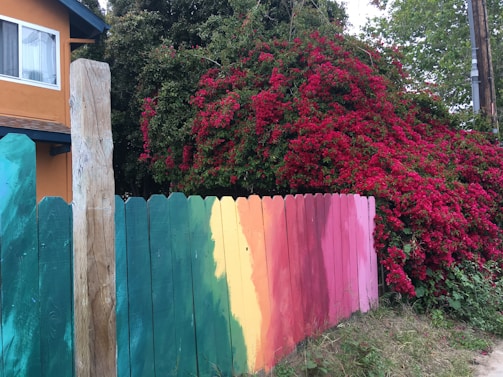 A vibrant outdoor scene with trees and a freshly painted fence.