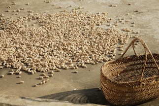 A large number of peanuts spread out on a flat, concrete surface under sunlight. A woven wicker basket is placed nearby, empty and tilted slightly. Shadows cast by the peanuts and the basket suggest it is late afternoon.