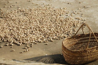 Bags of crunchy makhana spread out on a woven basket under sunlight.