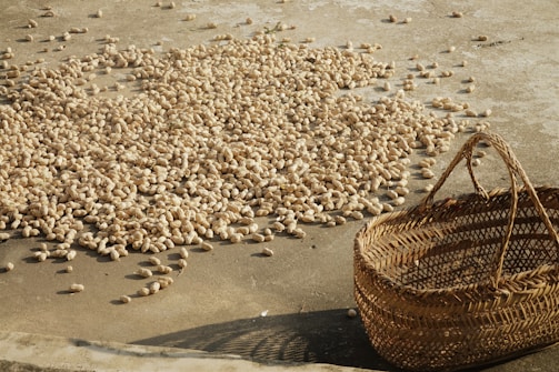 A large number of peanuts spread out on a flat, concrete surface under sunlight. A woven wicker basket is placed nearby, empty and tilted slightly. Shadows cast by the peanuts and the basket suggest it is late afternoon.