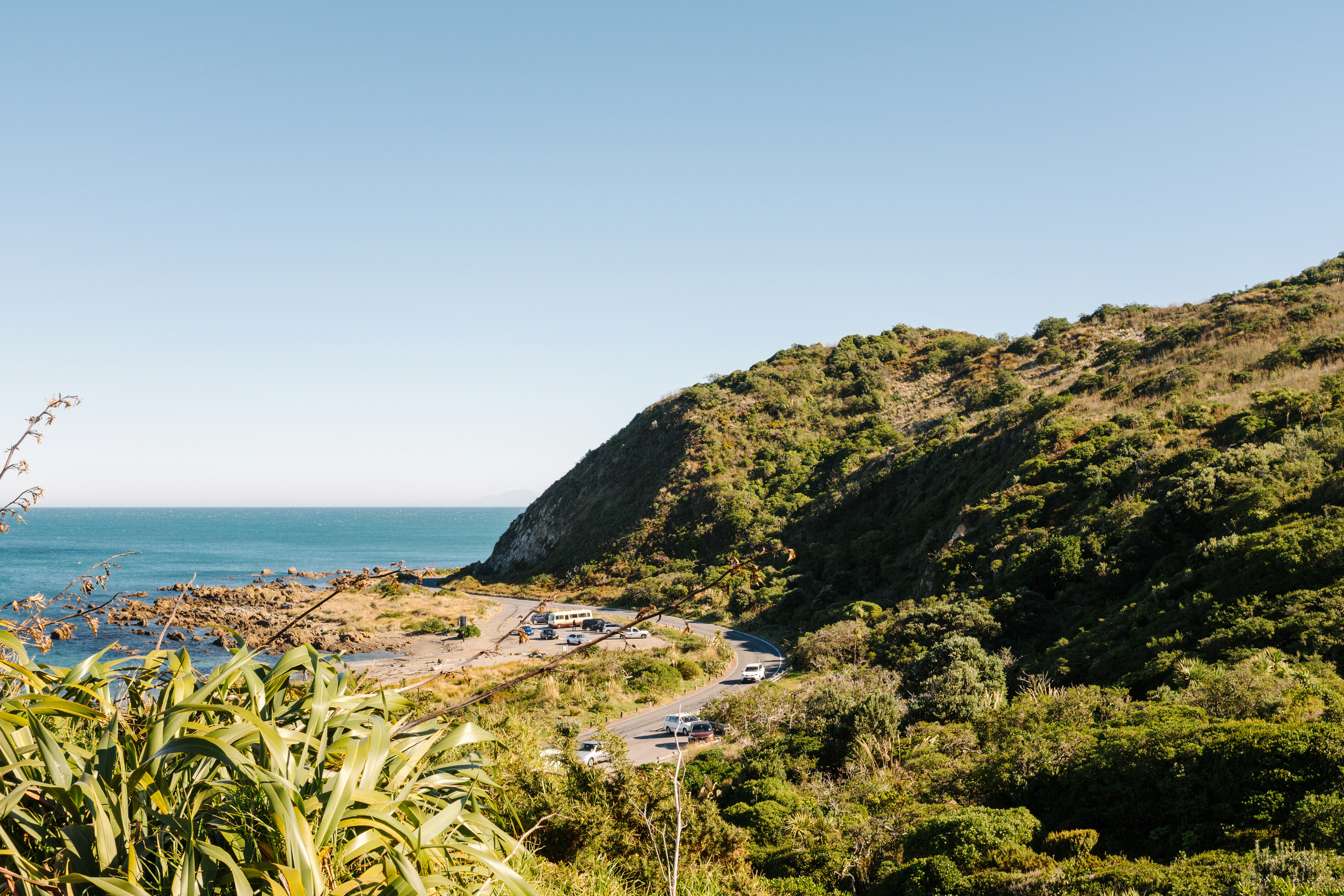 Photo by wzimmermann