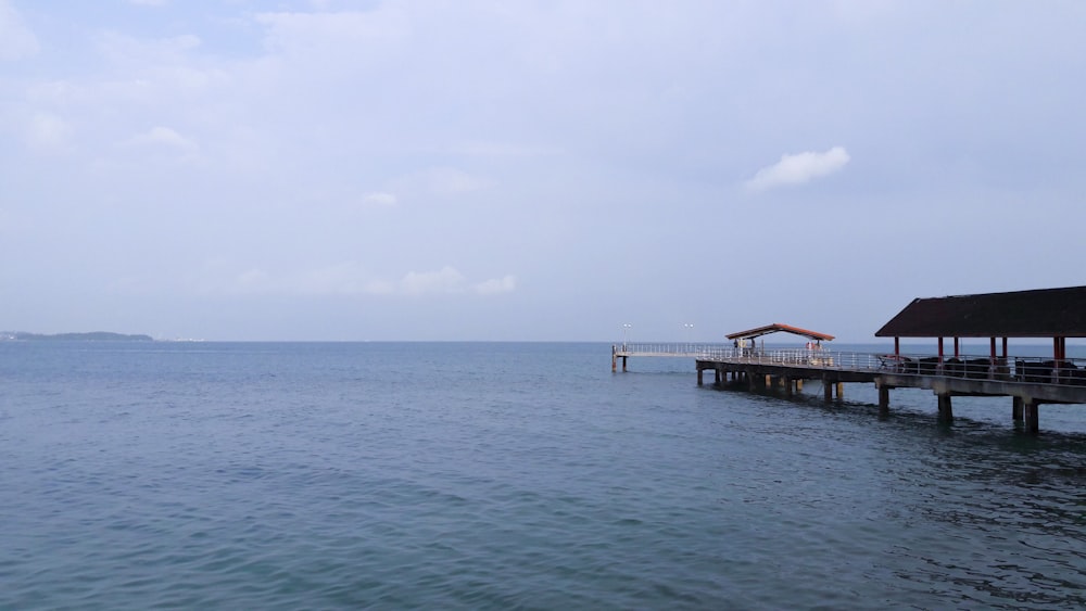 brown wooden dock during daytime