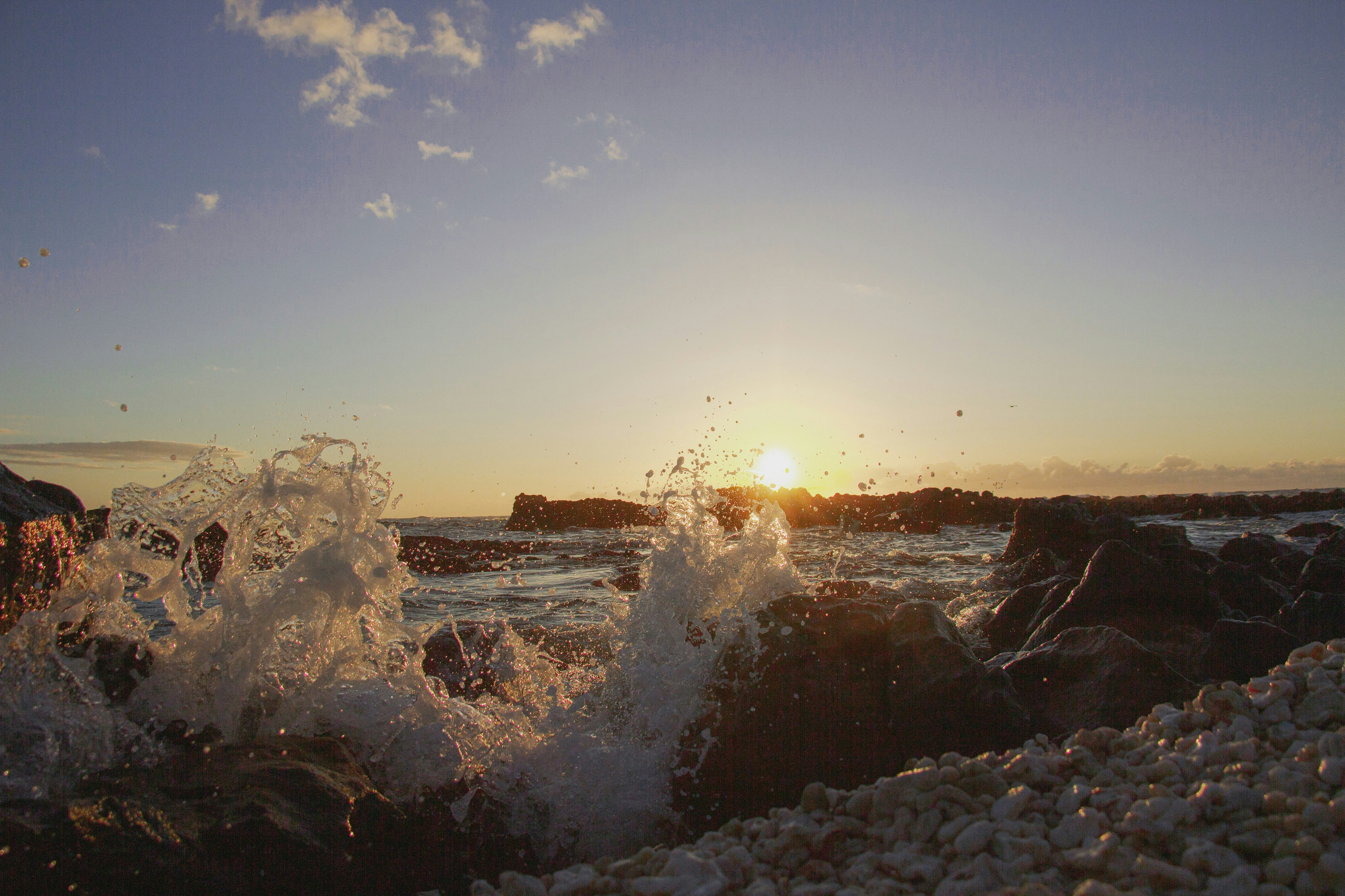 Photo by brandolan1