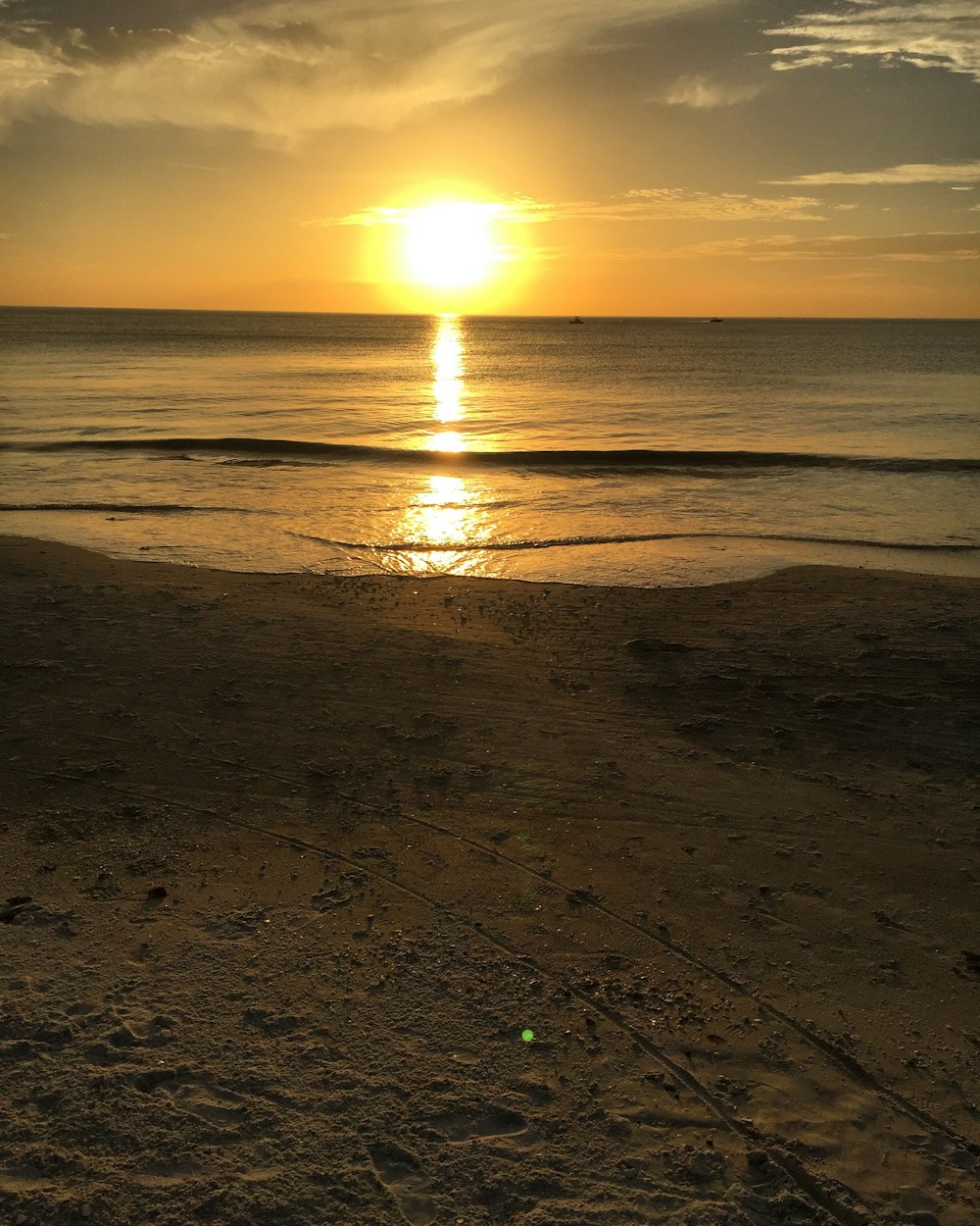 seashore during golden hour