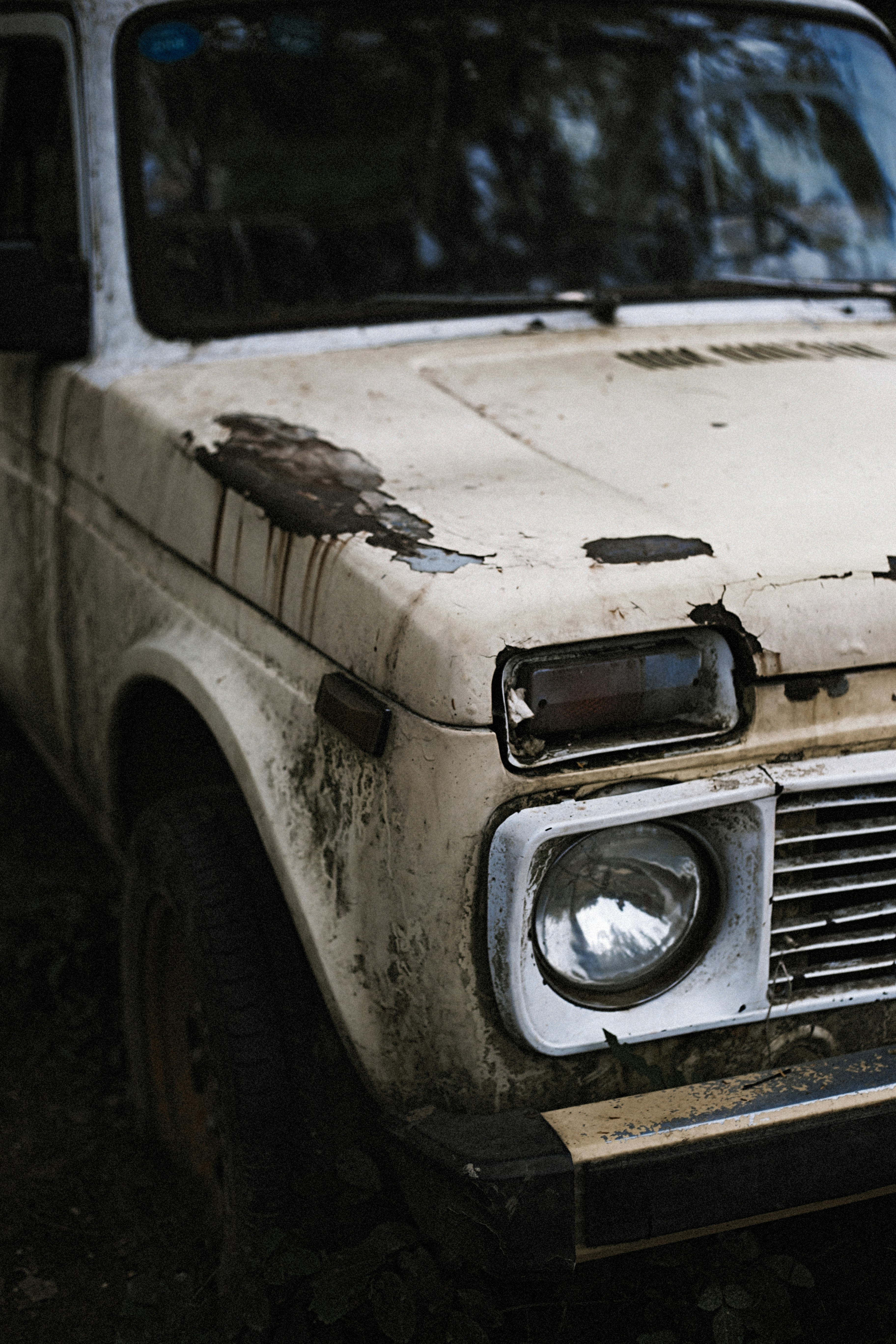 Photo by vinomamba24