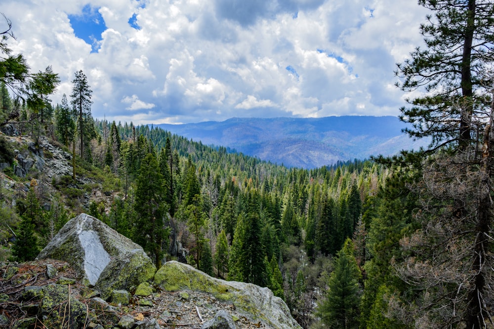 high-angle photography of mountain covered with trees