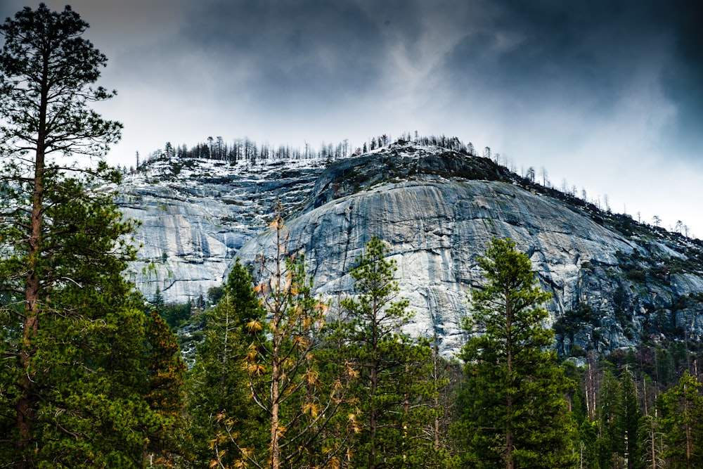 rock mountain surrounded by trees