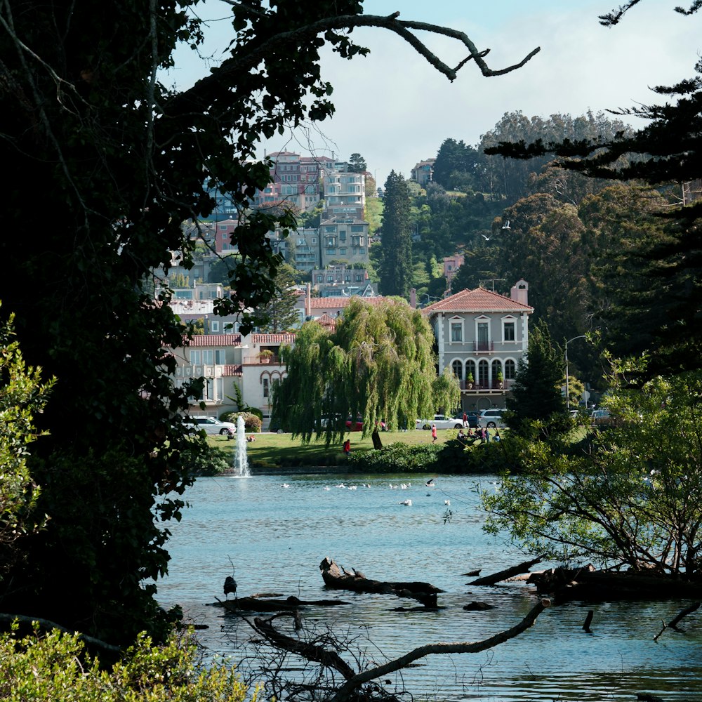 body of water near houses