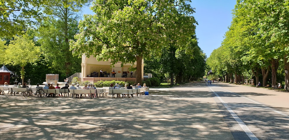 people sitting on benches during daytime