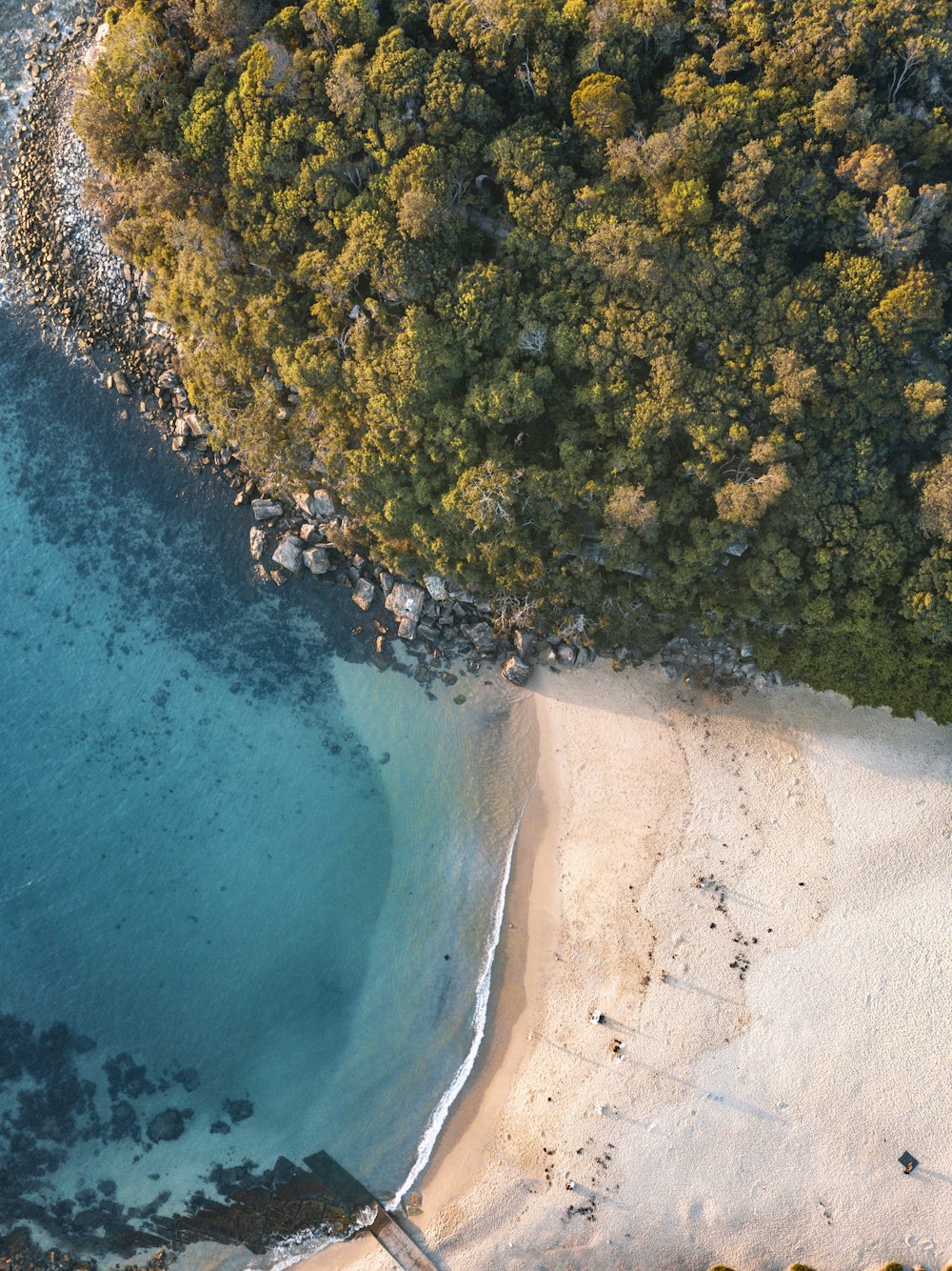 aerial view of beach shore