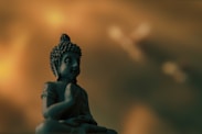 selective focus photography of buddha
