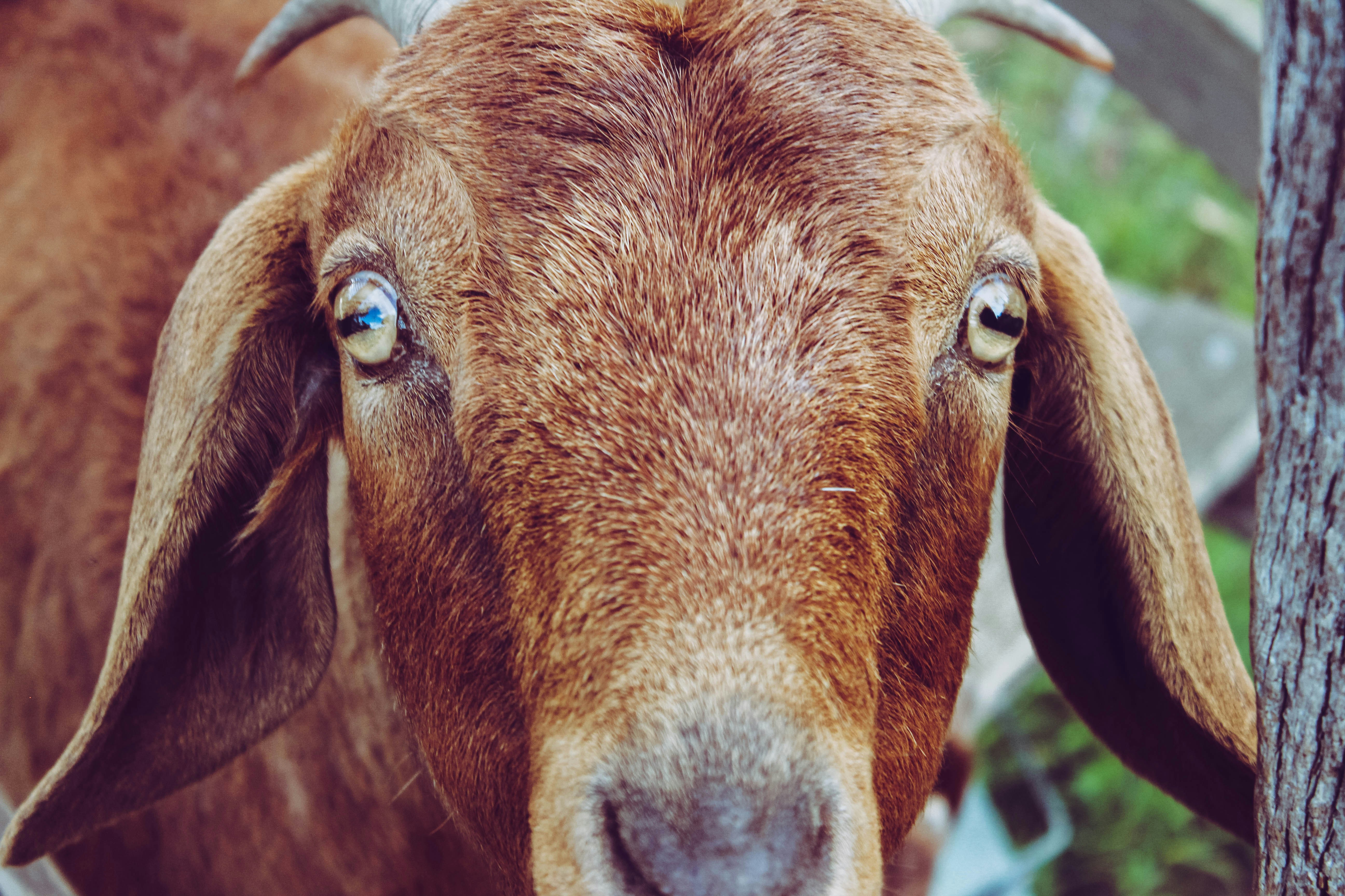 Photo by _jacob_spencer_