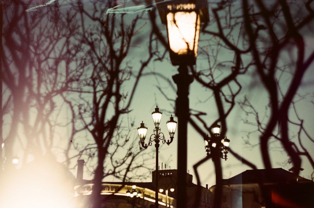 lampadaire noir près d’un arbre nu