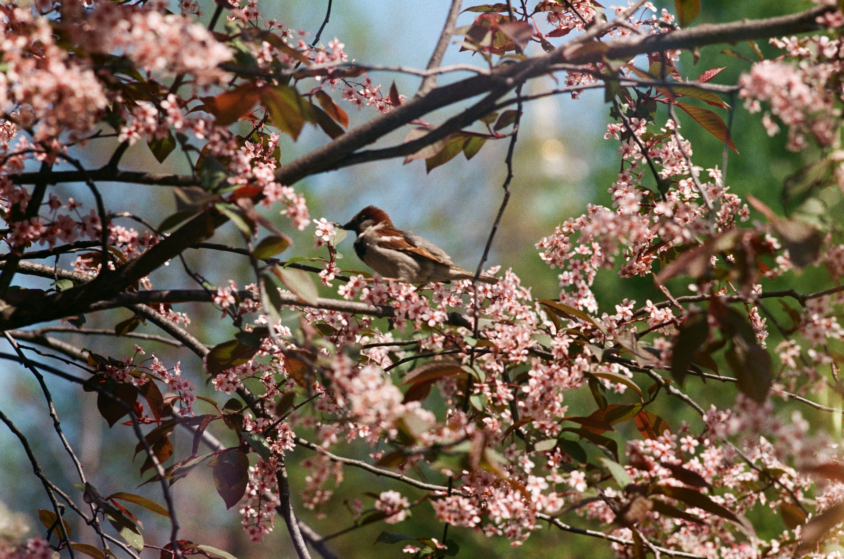 Photo by daria_kraplak