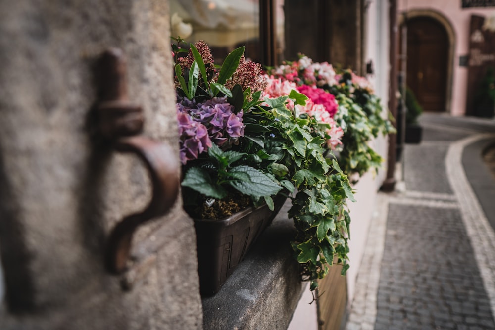 flowers in pot near window