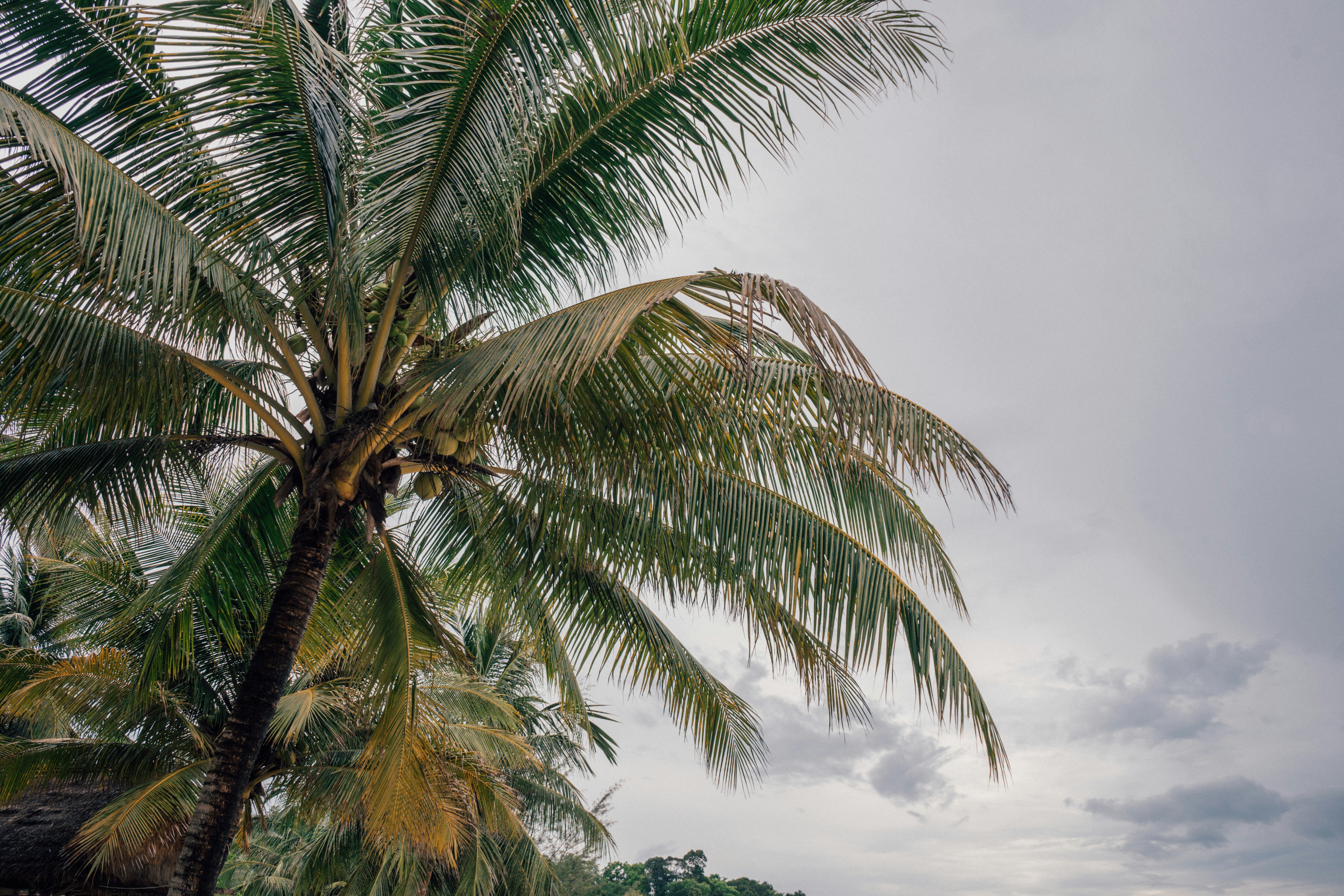 Photo by nicolasjleclercq
