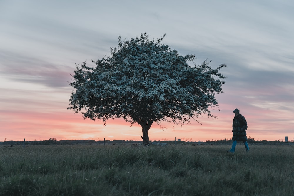 person standing on green grass near tree