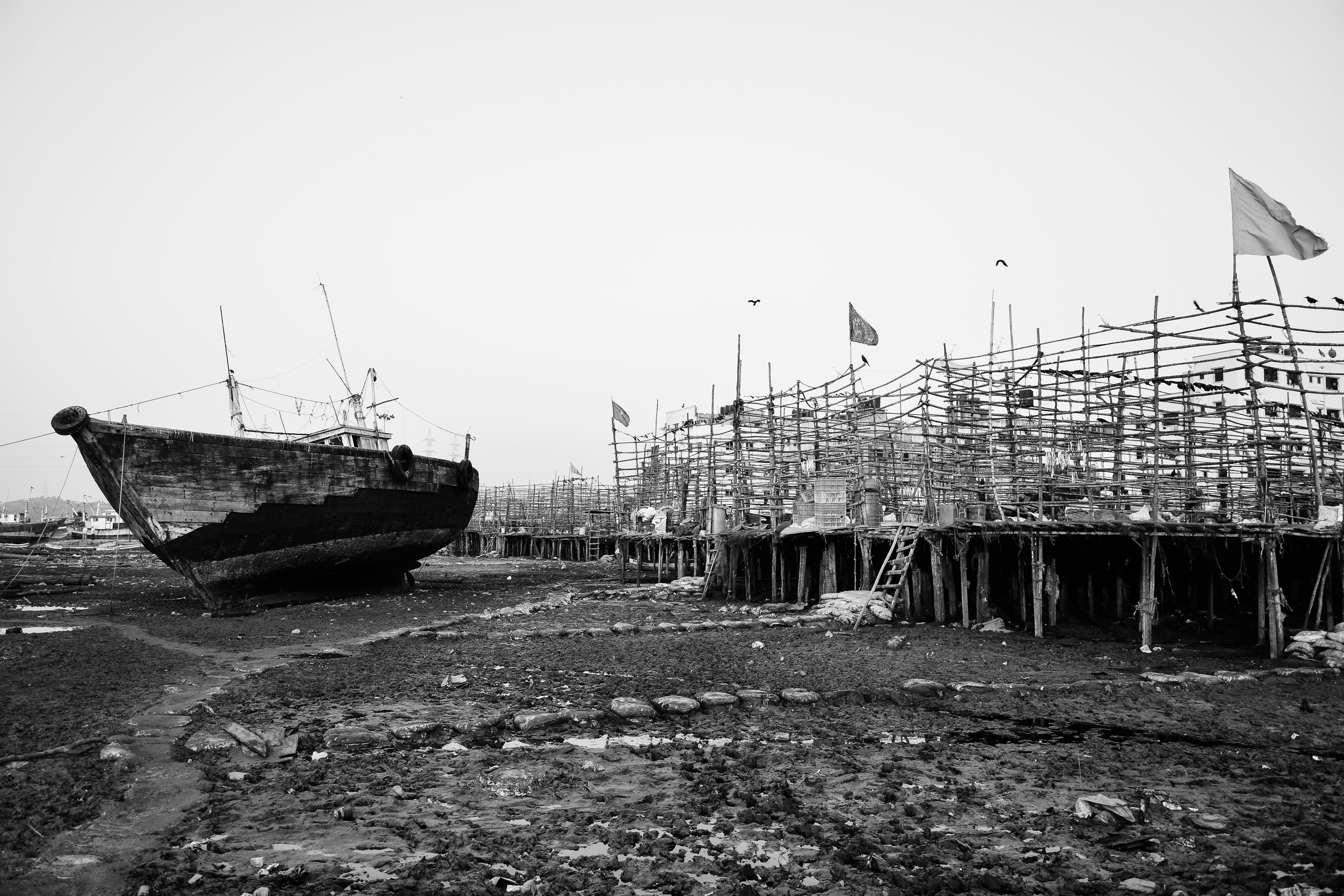 Photo by mitulgrover