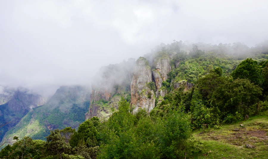 Misty cliff landscape in Kodaikanal