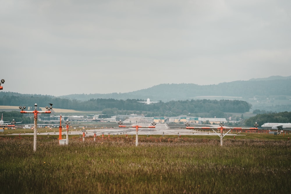 white-and-orange posts on grass