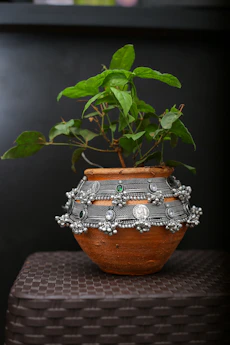 Close-up of a handcrafted ceramic pot with a lush tropical plant inside