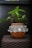 A clay pot with an ornamental metallic decoration featuring intricate designs and gemstones encircles its body. Inside the pot, there is a thriving green plant with vibrant leaves. The pot sits on a brown woven surface against a dark background.