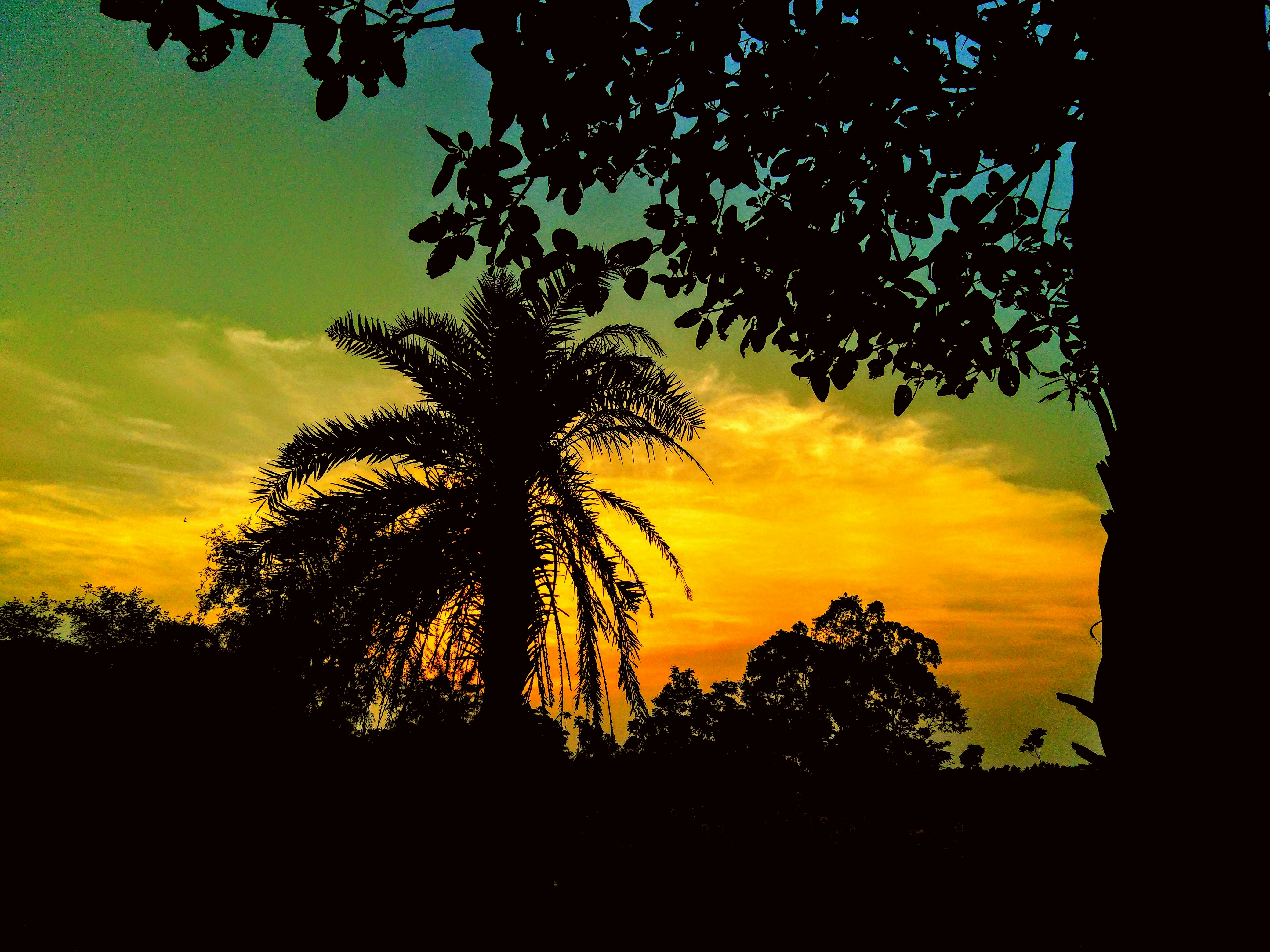 Photo by provakar