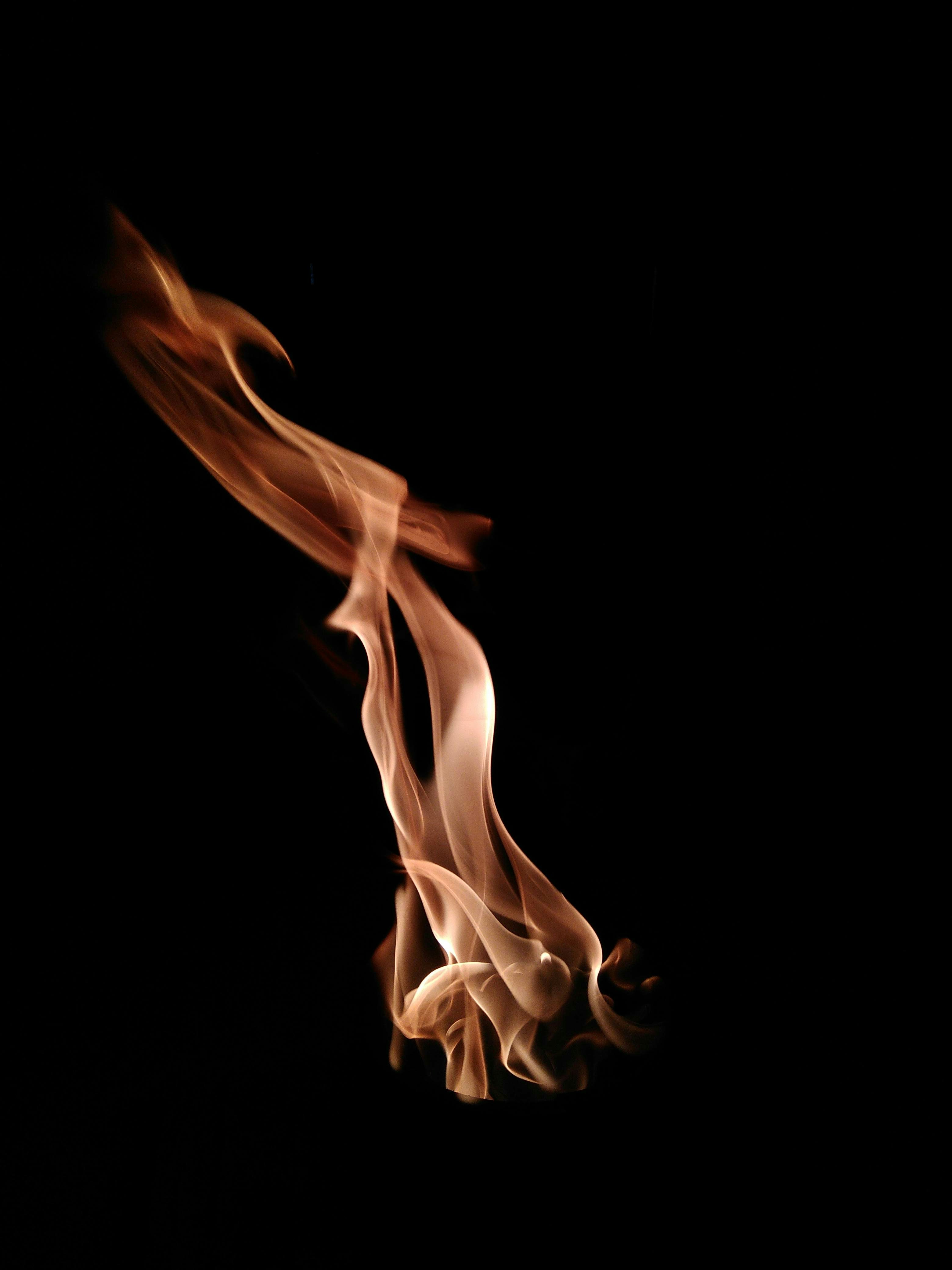 Photo by vijay__sav__age