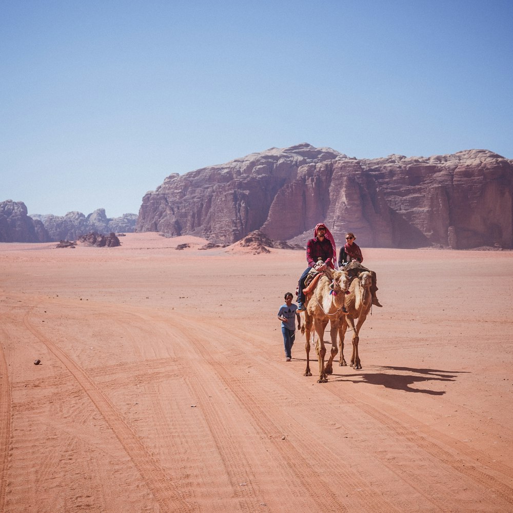 people riding camel during daytime