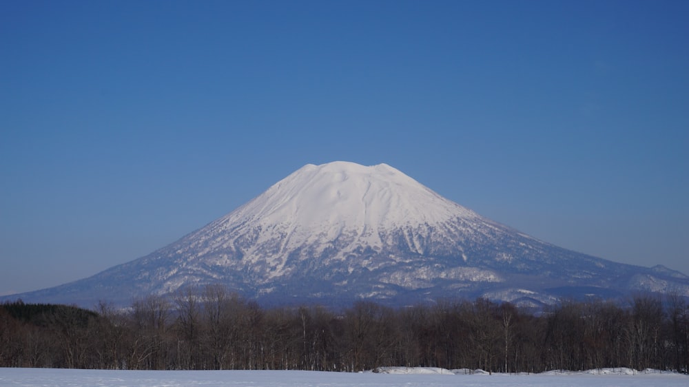 mount Fuji during daytime