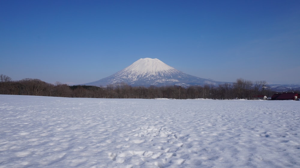 snow field near mountain covered with snow