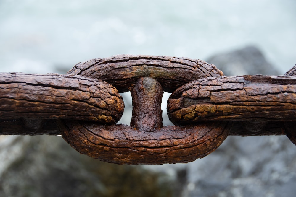 rusted chains close-up photography