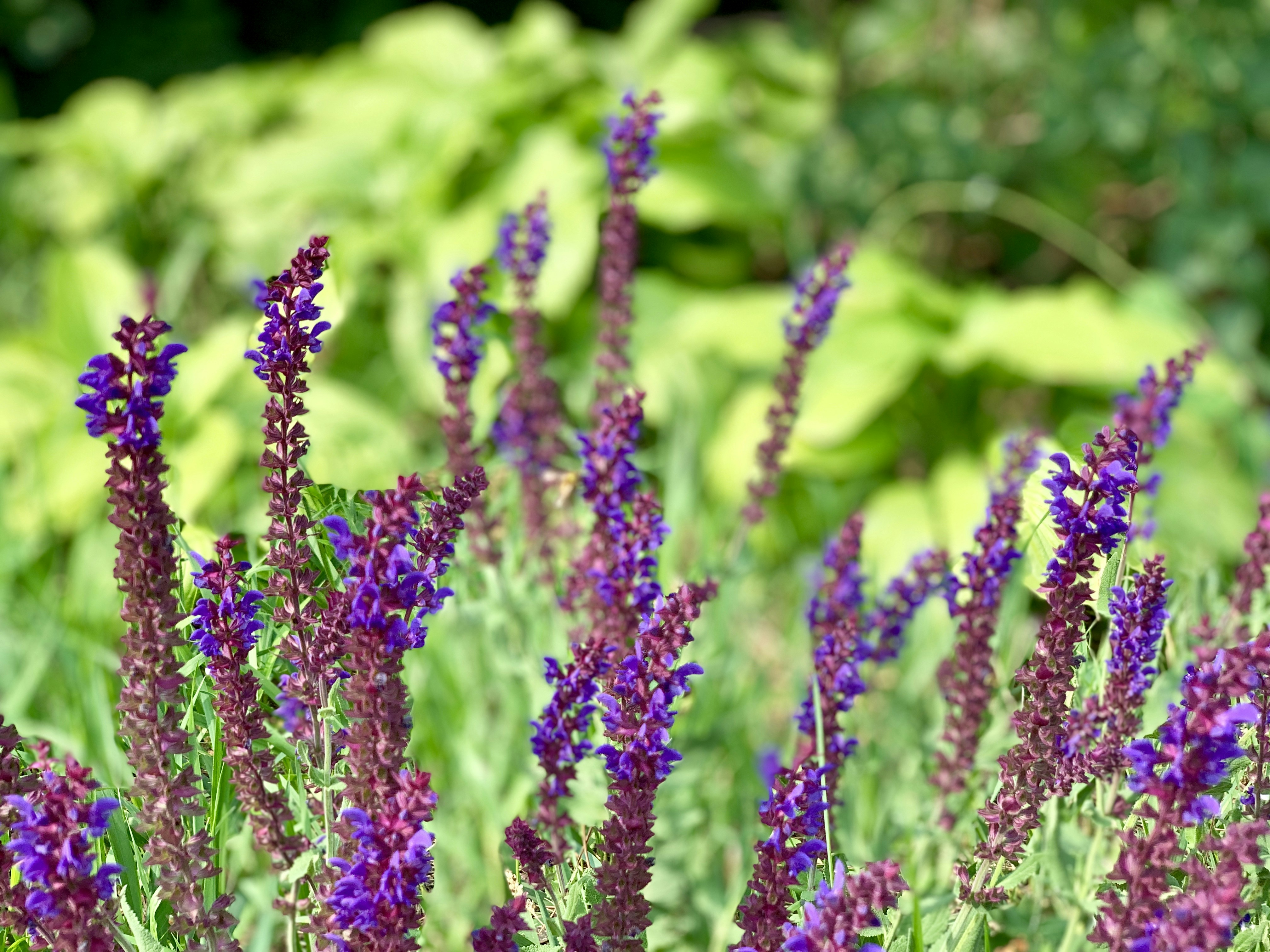 Photo by rebeccamargaret