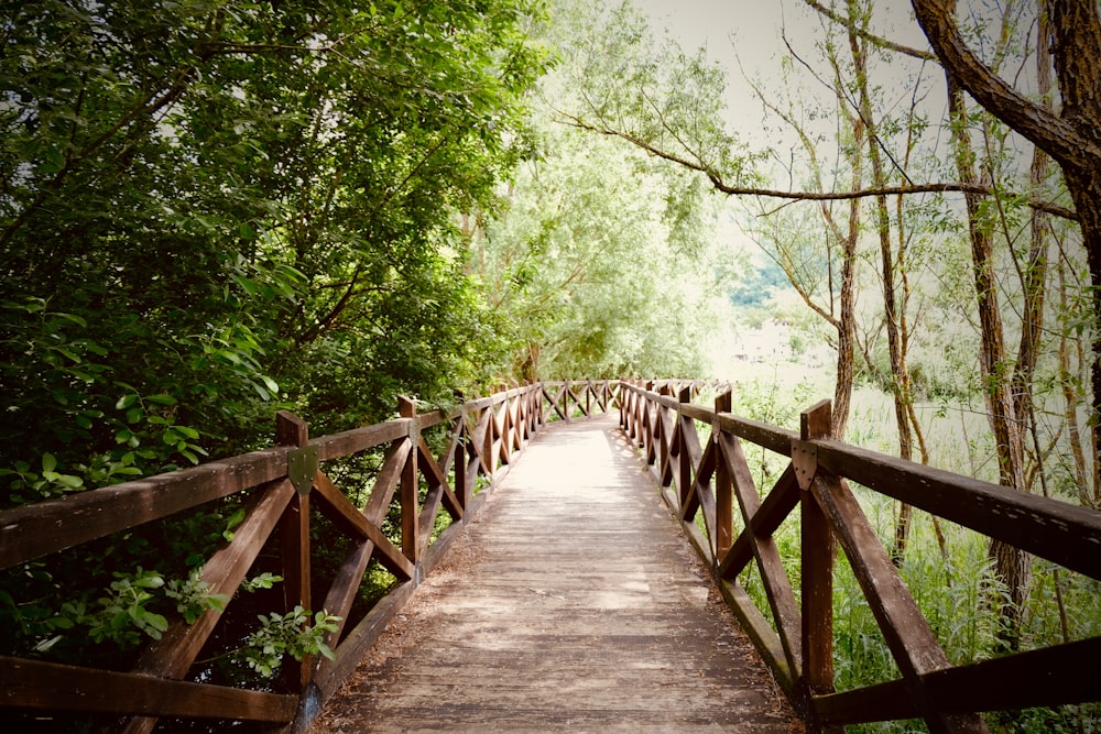 empty brown wooden footbridge