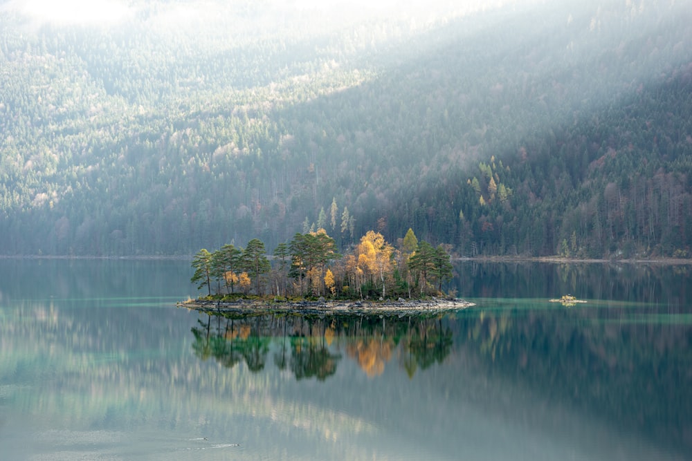 green island surround by body of water