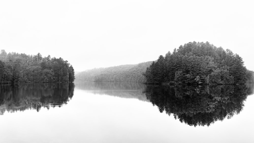 grayscale photography of body of water