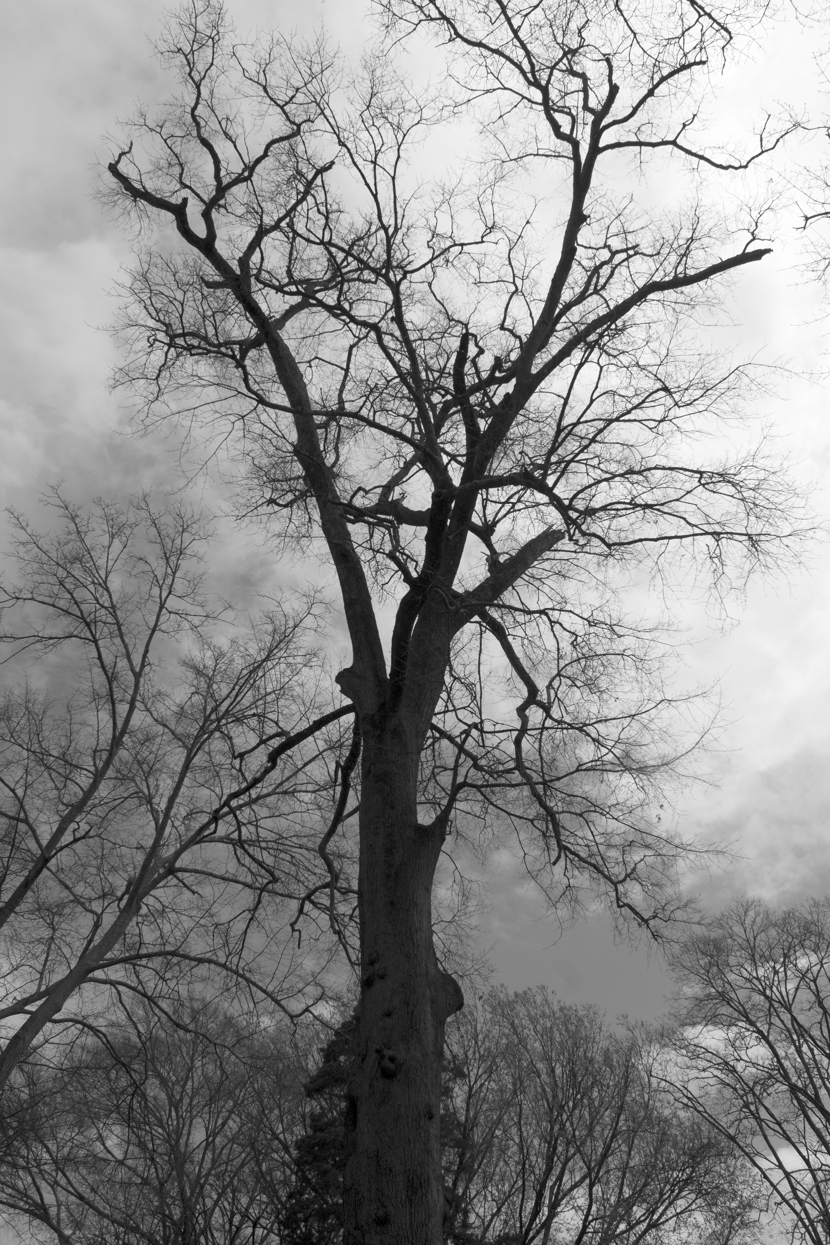 Photo by michael_meigs