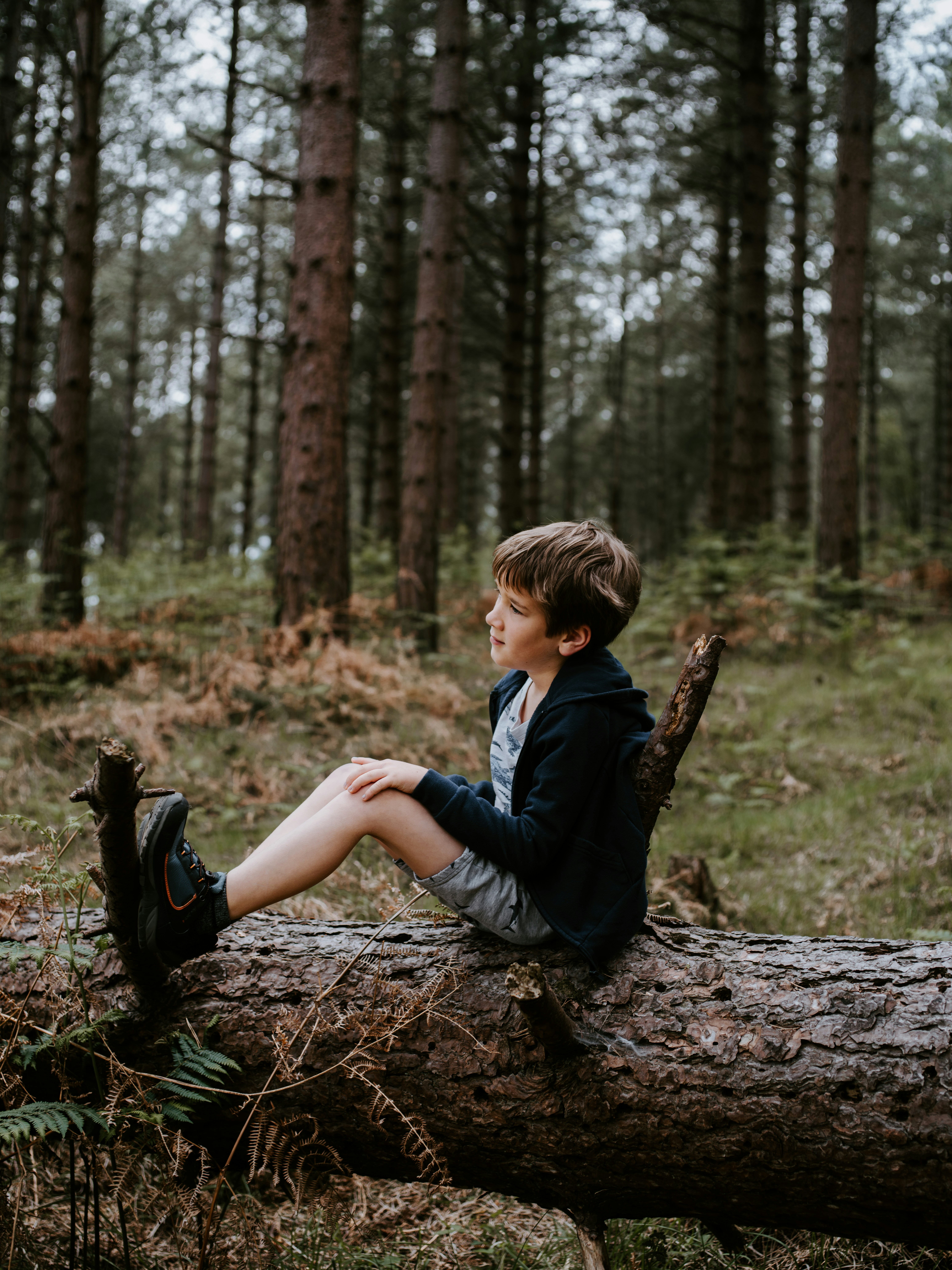 Photo by anniespratt