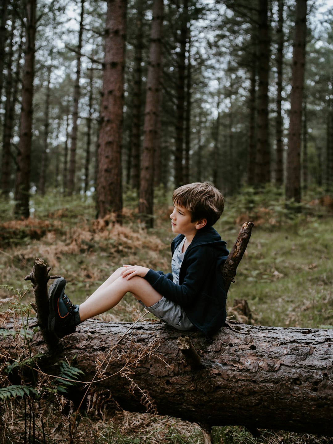 boy sitting on the tree log