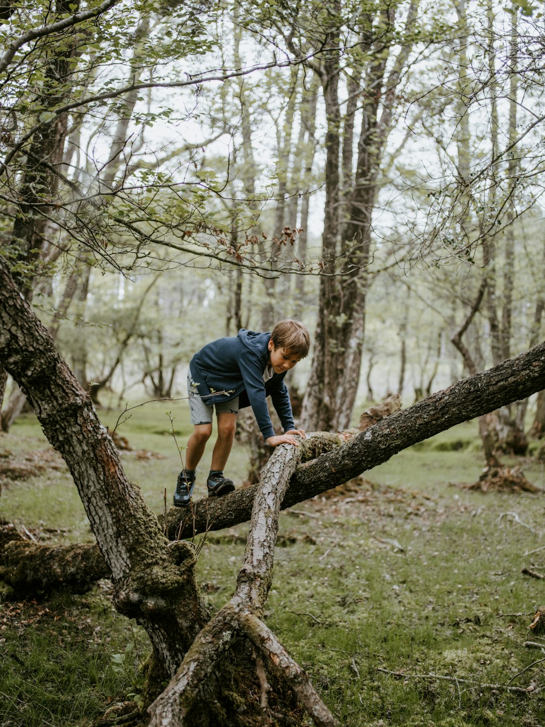 boy playing near the tree