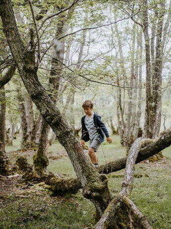 A young boy is venturing through a forest filled with lush green foliage and tall trees. He wears a casual outfit consisting of a blue jacket and patterned shorts. The ground is covered with grass and patches of moss, and the trees have thick, textured bark.