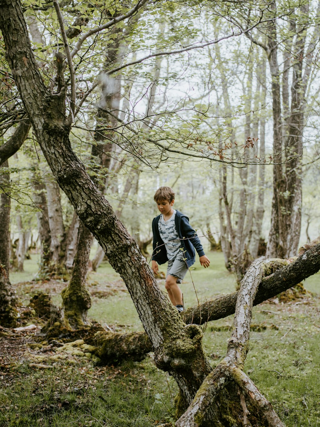 boy wearing black jacket outdoor during daytime