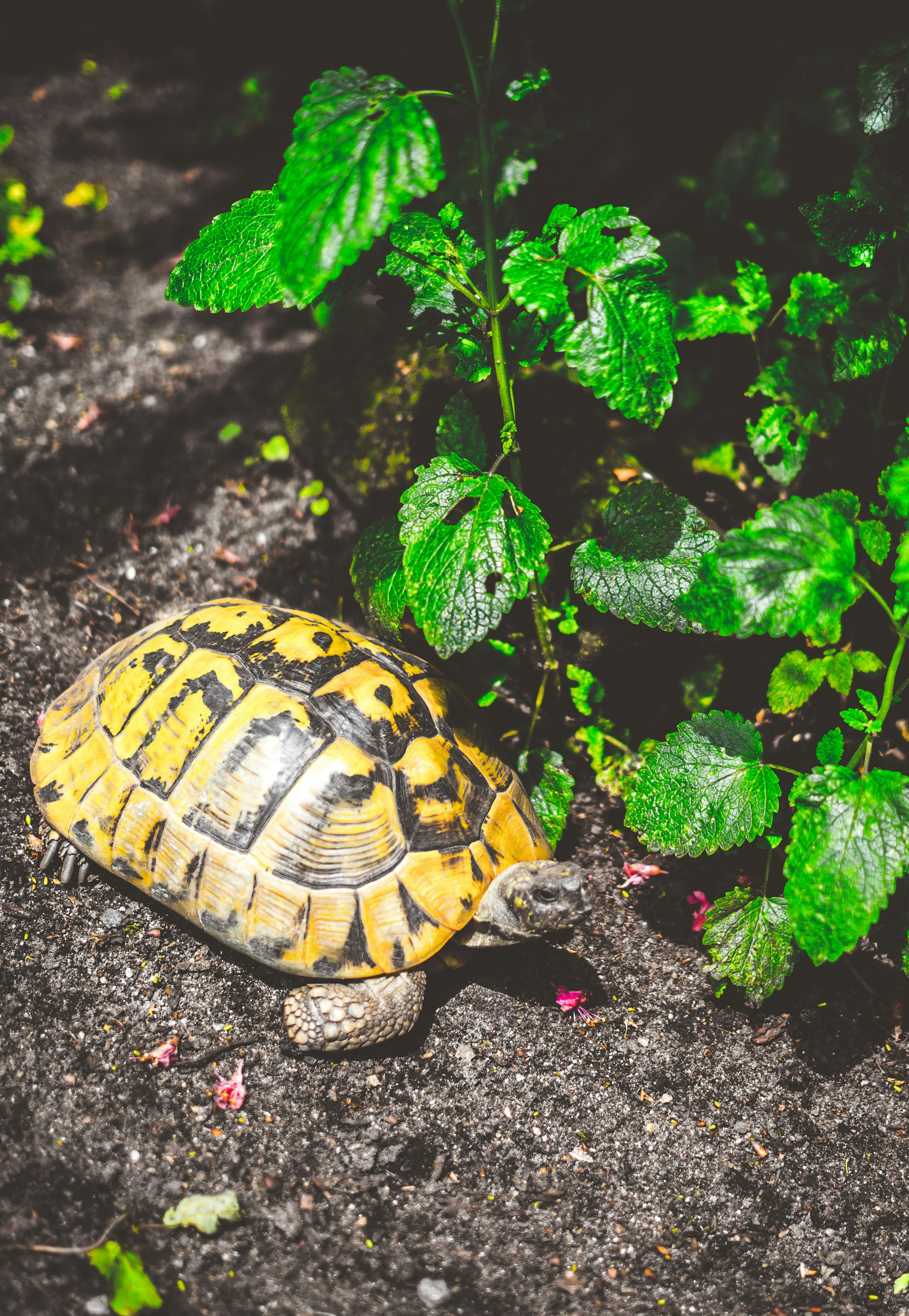 Photo by bharat_patil_photos