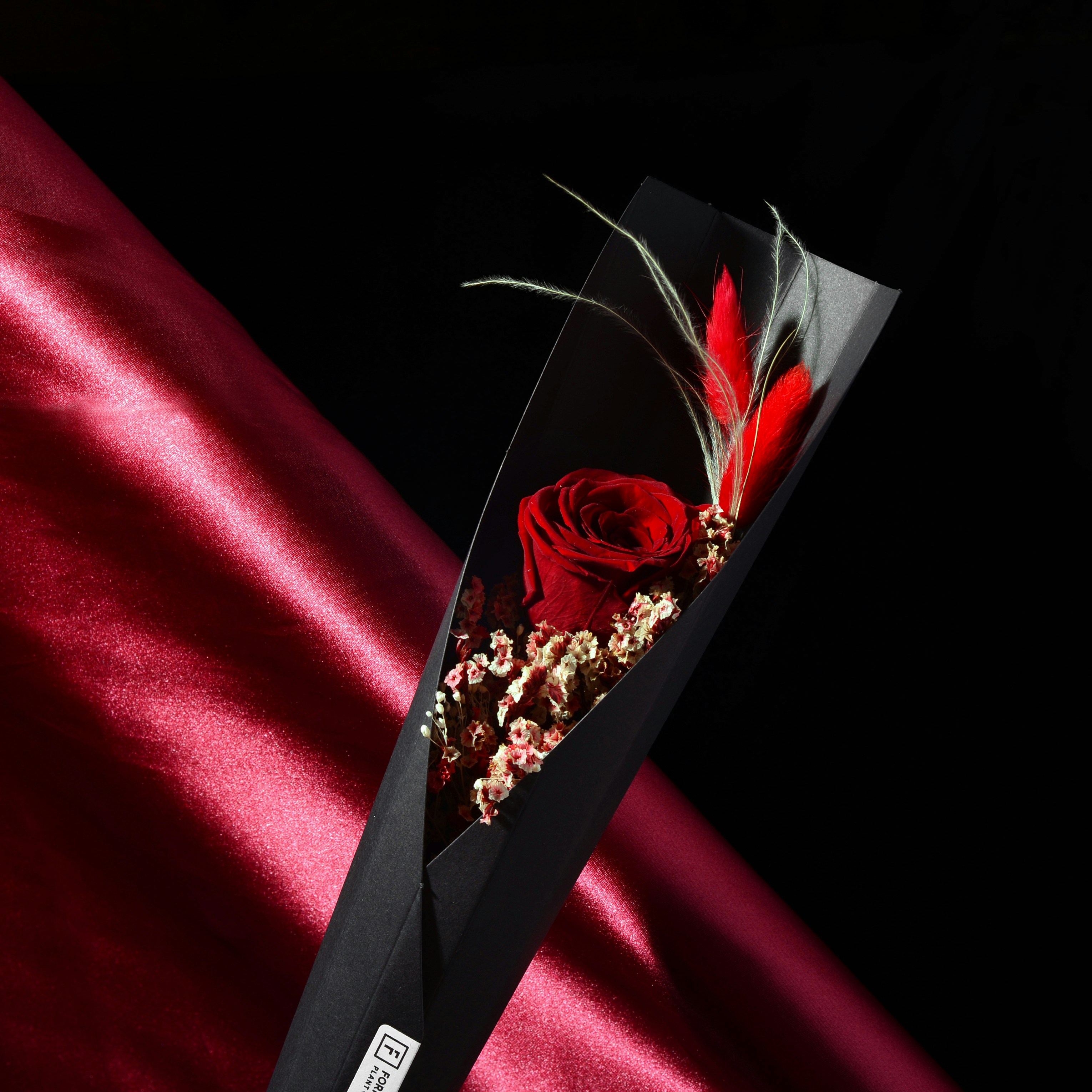 Red rose flower photo – Free Velvet Image on Unsplash